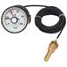 Expansion thermometer with microswitch